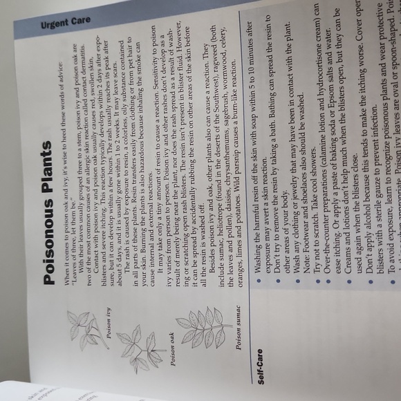 Free W/Purchase - Mayo Clinic Guide to Self Care 4E - 2003 - Paperback - Picture 7 of 9